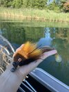 IMG_6595.jpeg