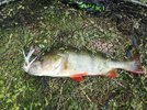 IMG_20250909_223623.jpg