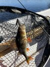 IMG_2047.jpeg