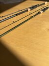 IMG_0903.jpeg