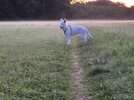 20250909_195623.jpg