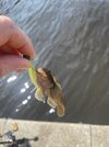 IMG_1999.jpeg