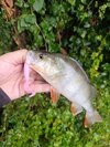IMG_20250925_131813.jpg