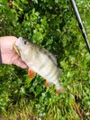 IMG_20250925_122940.jpg