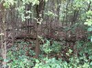 IMG-20250922-WA0004.jpg