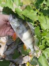 IMG_20250928_130751.jpg