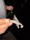 IMG_2563.jpeg