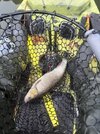 IMG_1900.jpeg
