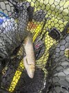 IMG_1899.jpeg