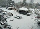 IMG20260203154459.jpg