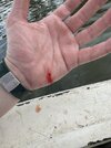 IMG_1836.jpeg