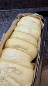 IMG_1205.jpeg