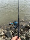 IMG_7325.jpeg