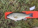 IMG_8519.jpeg