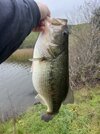 IMG_8521.jpeg