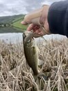 IMG_8527.jpeg