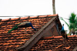 DSC02163.jpeg