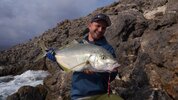 White Trevally.jpg
