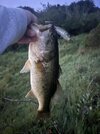 IMG_8752.jpeg