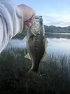 IMG_8753.jpeg