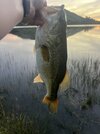 IMG_8754.jpeg