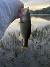 IMG_8755.jpeg