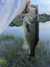 IMG_8756.jpeg