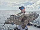 Grouper II.jpg