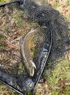 IMG_9007.jpeg