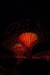 IMG_8407.jpeg