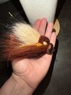 IMG_3916.jpeg