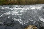 IMG_20260404_114858.jpg