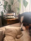 IMG_5615.jpeg