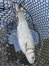 IMG_2503.jpeg