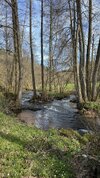 IMG_9801.jpeg