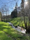 IMG_4732.jpeg