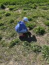 IMG_0968.jpeg