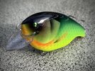 IMG_6430.jpeg