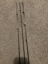 IMG_8556.jpeg