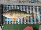 IMG_20260215_112310.jpg