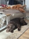IMG_5552.jpeg