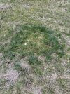 IMG_8508.jpeg
