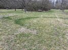IMG_8507.jpeg