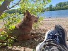 20260425_141218.jpg