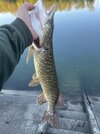 IMG_0695.jpeg