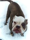 IMG_20260427_093913.jpg