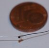 DSCF7770.JPG