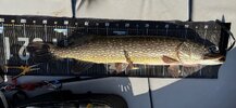 IMG_7406.jpeg