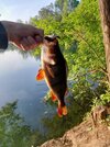 20260522_062958.jpg
