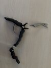 IMG_0775-1.jpeg